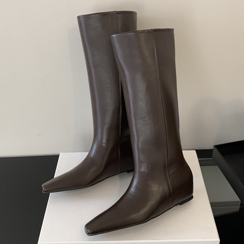 Eilyken Zacht Leer Puntschoen  - Winter Fashion Women Boots recensie en prijs